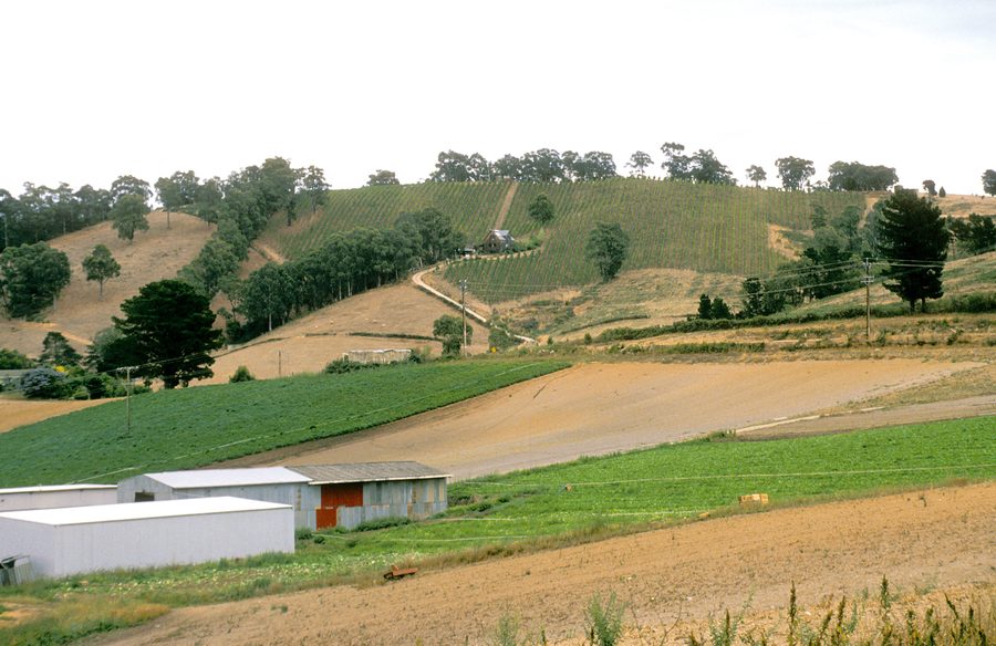 Vignes et paysage agricole mixte dans les Adelaide Hills