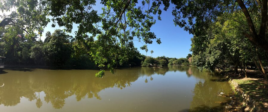 Panorama du Parque Farroupilha à Porto Alegre