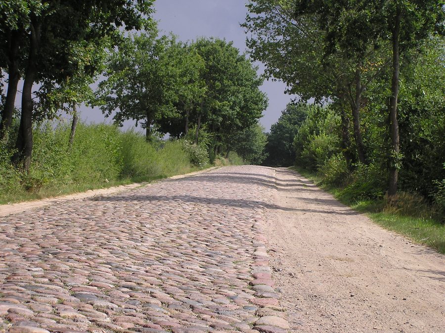 Chemin d’été entre Braak et Siek dans le Stormarn