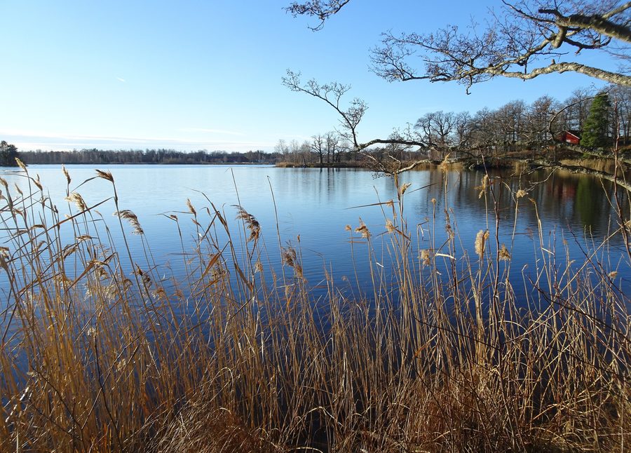 Le lac Båven près de la route nationale 57