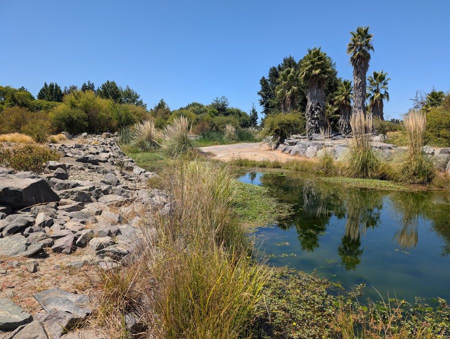 Jardín Botánico de la Universidad de Talca