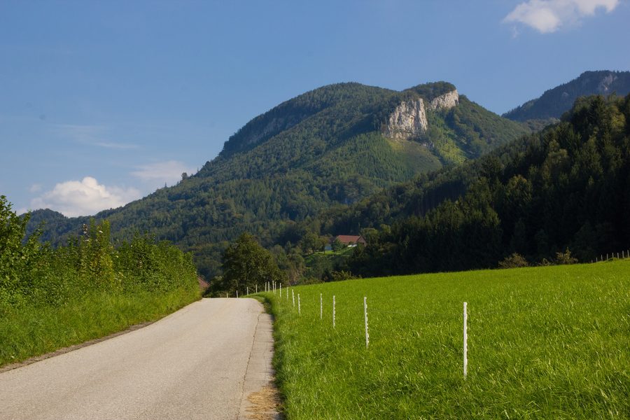 Côté ouest de la Hohen Dirn avec des pentes boisées