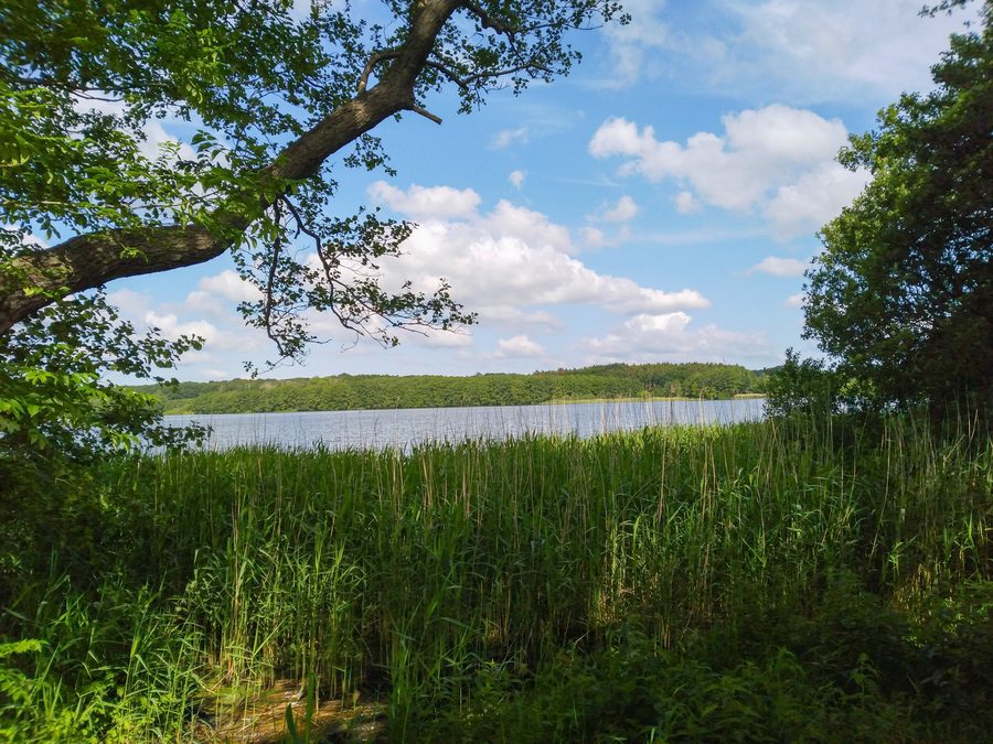 Vue depuis la rive sud du Bistensee vers la rive nord