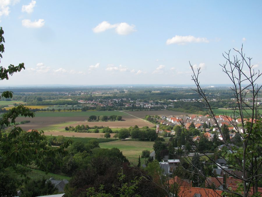 Vue depuis la Hindenburgstraße à Alsbach sur la vallée du Rhin