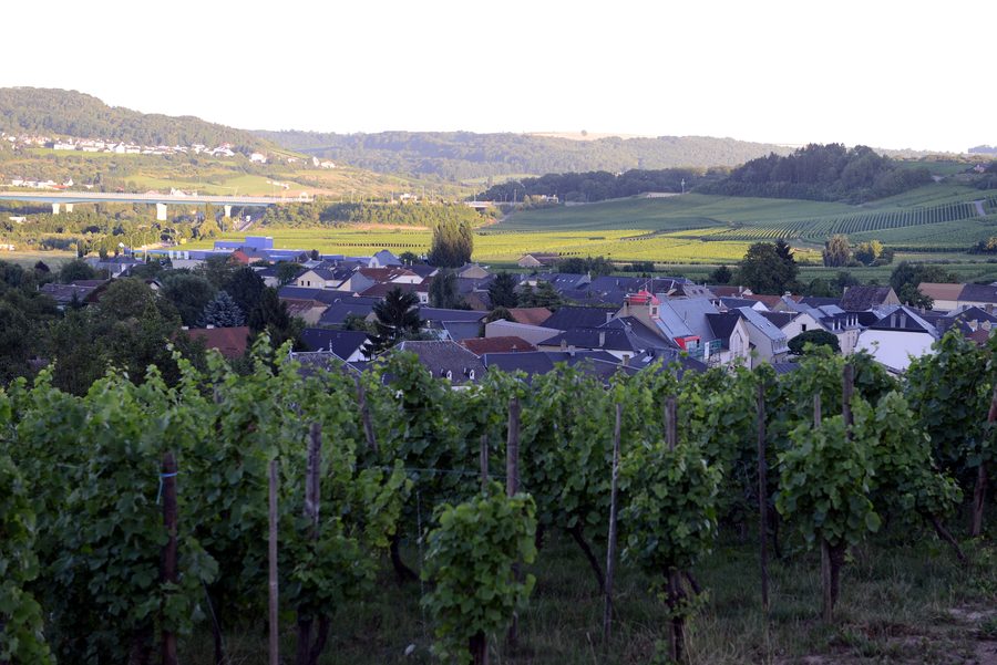 Vue du Käpbierg sur Rëmerschen.