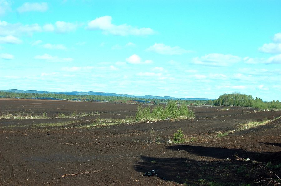 Paysage dans la réserve naturelle de Skagerhultsmossen près de Västkärrs Torfstich