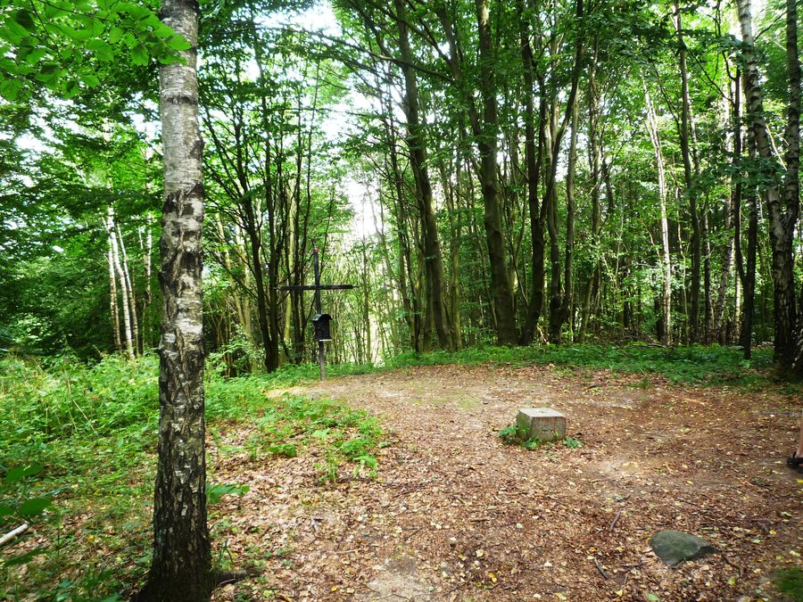 Sommet du Helpter Berg, le point le plus élevé du Mecklembourg-Poméranie-Occidentale