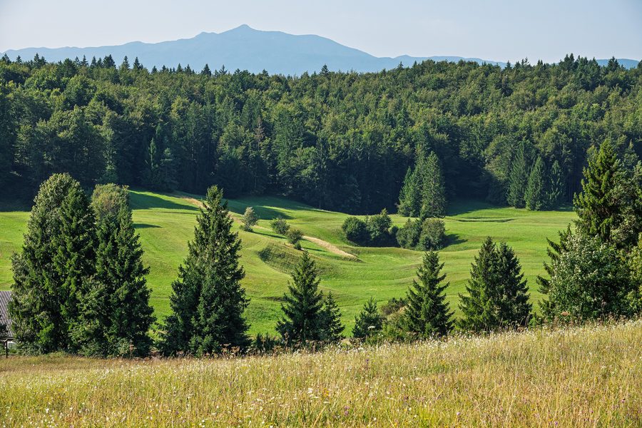 Prairies et forêt sur le plateau de Bloke en Slovénie