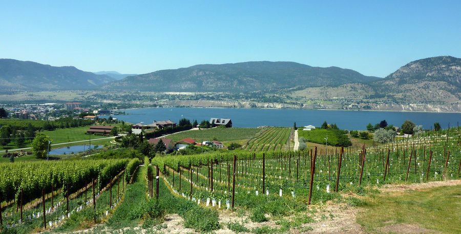 Vue sur le lac Okanagan depuis les vignobles du Naramata Bench.