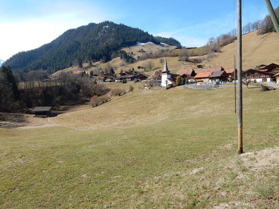 Vue d’ensemble de Diemtigen dans le canton de Berne