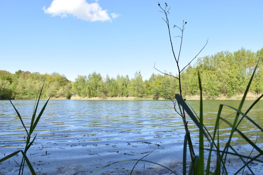 Paysage lacustre de Kreuzkamp avec un lac et des forêts environnantes