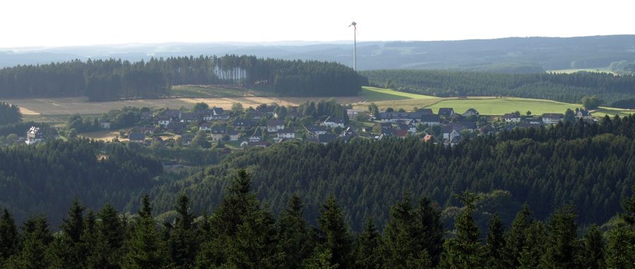 Vue depuis la tour panoramique du Unnenberg sur Dannenberg