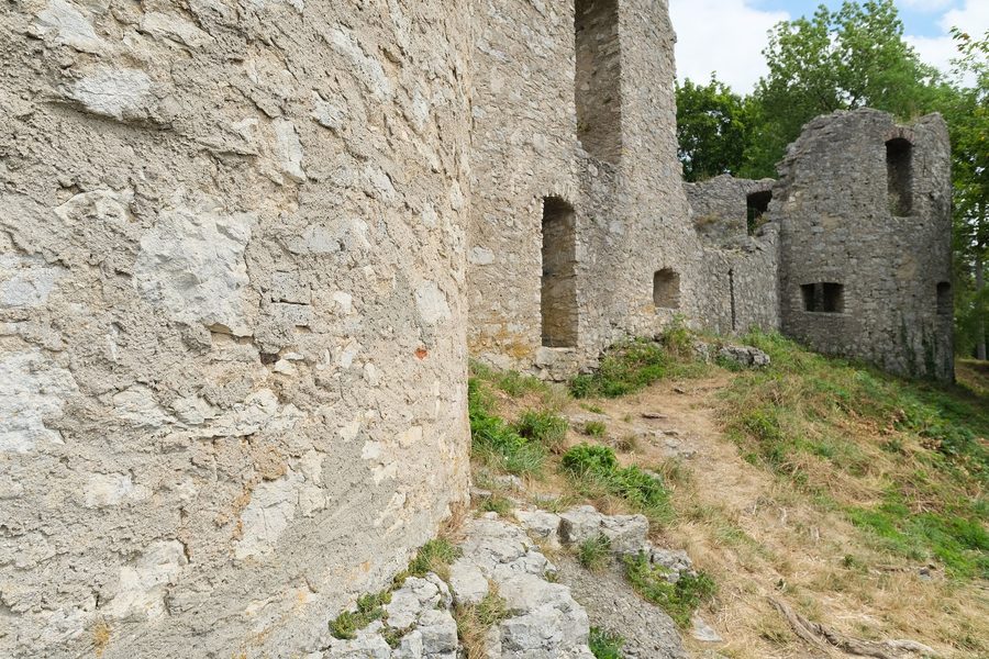 Vestiges des ruines du château de Honberg à Tuttlingen sur une colline boisée