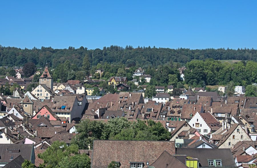 Vue sur Schaffhausen avec le Munot depuis le Rosengarten