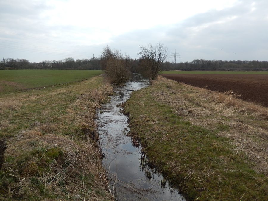 Ruisseau Seegraben dans la réserve naturelle de Drakenburger Marsch