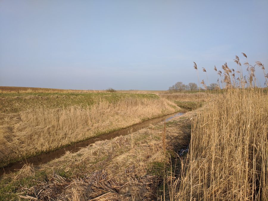 La Peene de Kittendorf entre Bredenfelde et Sülten en Mecklembourg-Poméranie-Occidentale