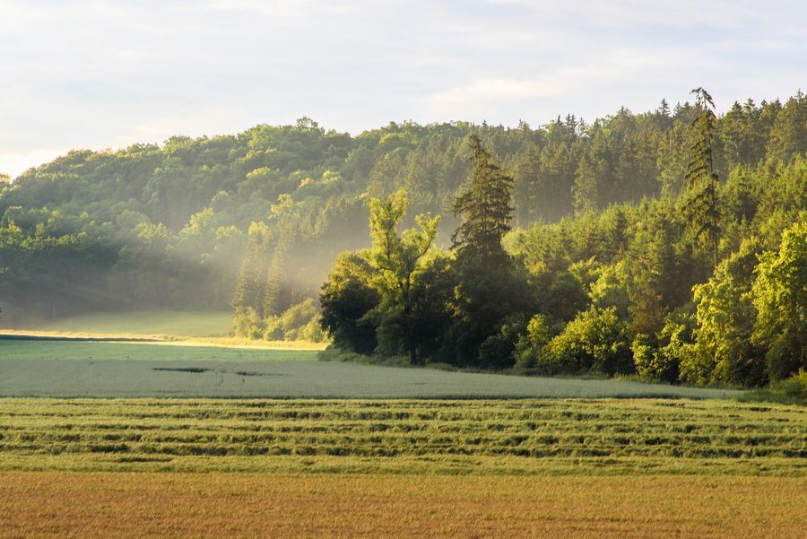 Landschaft im Landschaftsschutzgebiet Mittleres Lonetal bei Bernstadt im Alb-Donau-Kreis