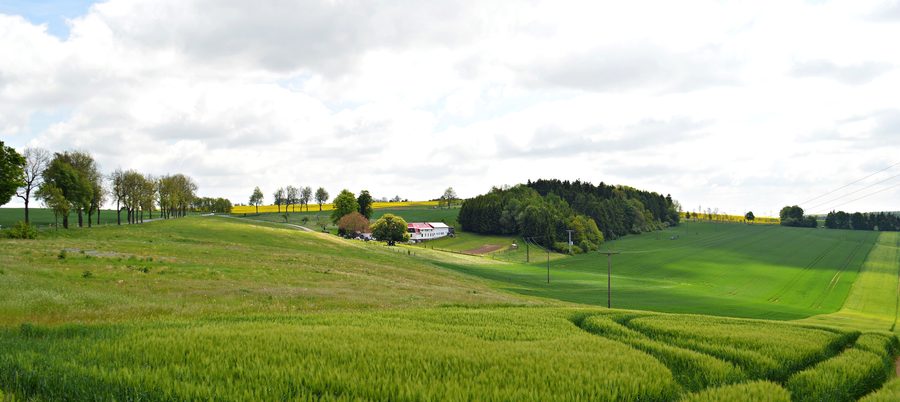Paysage avec ferme à quatre côtés dans l’Eichsfeld thuringien