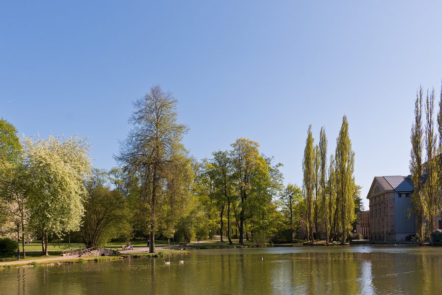 Vue sur l’étang de glace dans le Jardin anglais à Meiningen