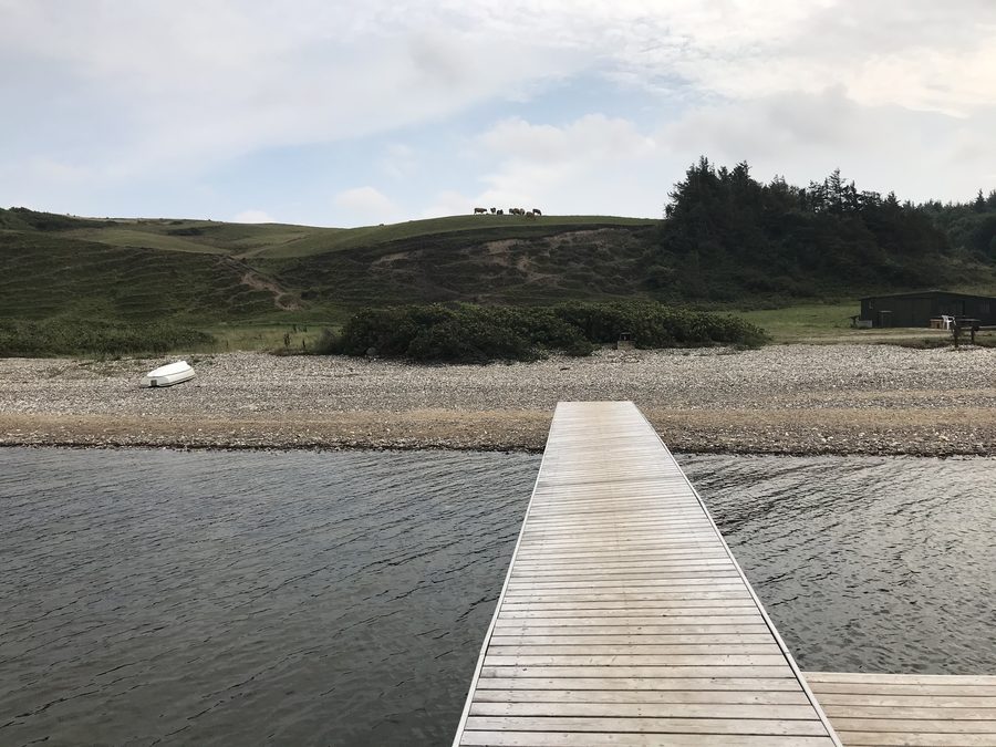 Paysage côtier du Limfjord près de la falaise de Hanklit sur l’île de Mors