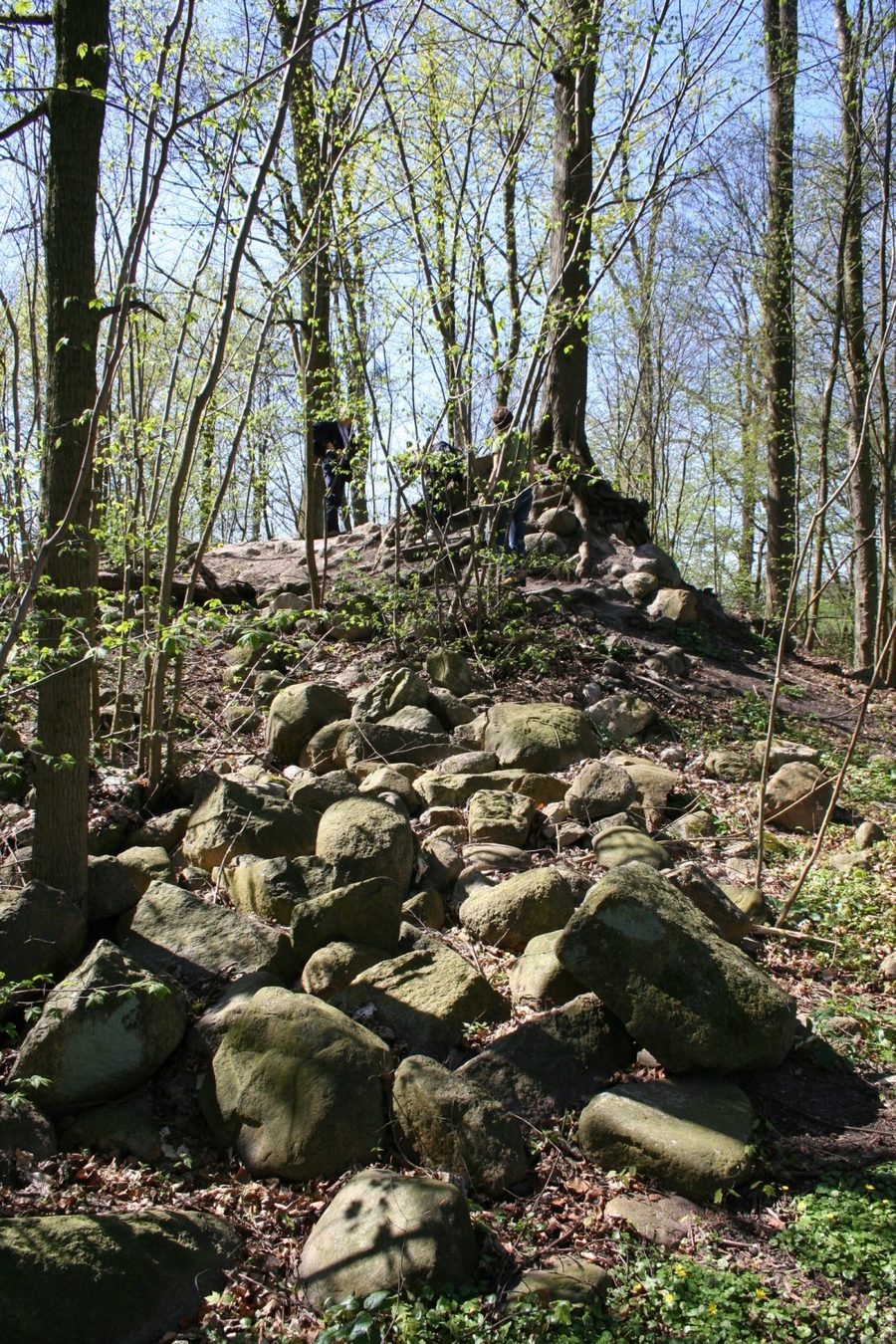 Vestiges du château de Linau