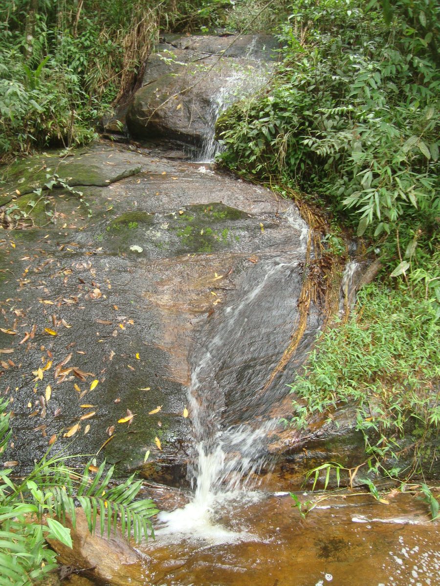 Chute d’eau dans le parc d’État de Serra do Brigadeiro à Araponga, Minas Gerais