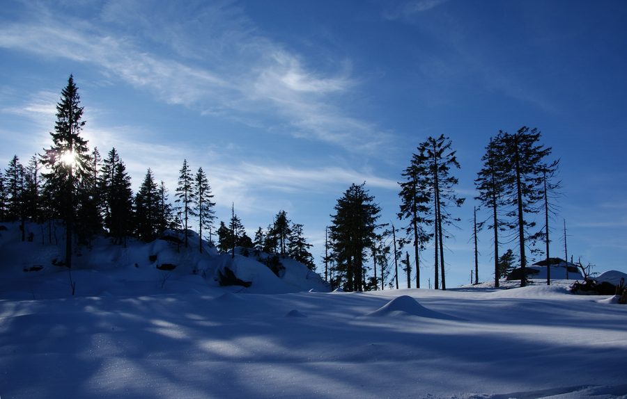 Région sommitale du Dreisesselberg dans la Forêt bavaroise