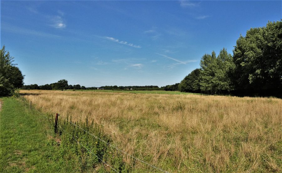 Réserve naturelle de Bietenschlatt à Südlohn avec un paysage proche de la nature