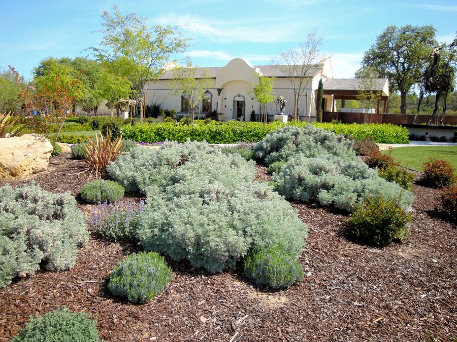 Vignoble et jardin de sculptures à Sculpterra Winery à Paso Robles, Californie