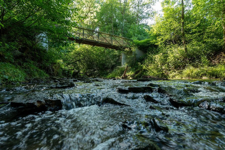 Le Sulzbach près de Denkendorf avec un pont et de la végétation rivulaire
