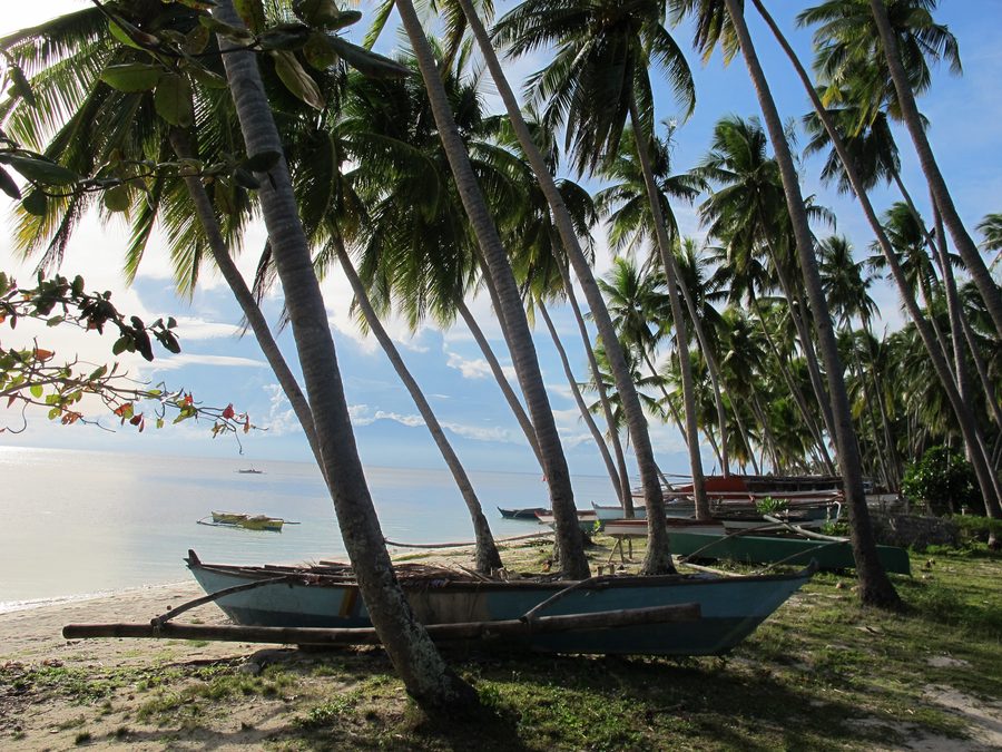 Paliton Beach à Siquijor avec sable clair, eau limpide et cocotiers