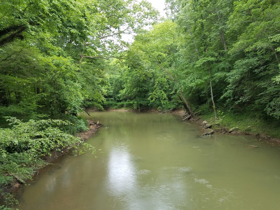 South Chickamauga Creek à Audubon Acres à Chattanooga.