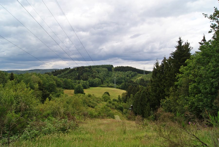 Paysage vallonné près de Freudenberg en Rhénanie-du-Nord-Westphalie