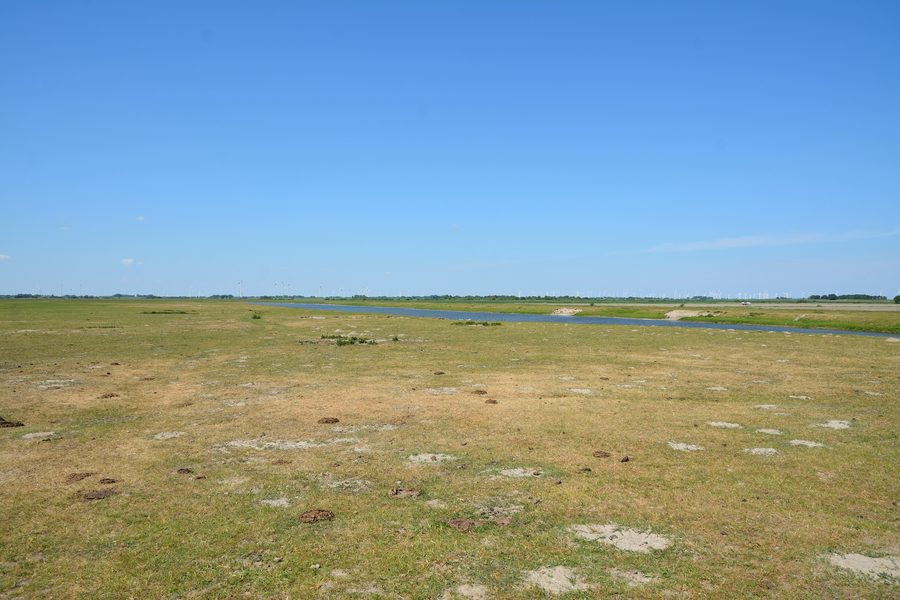 Paysage dans la réserve naturelle de Wöhrdener Loch dans le Speicherkoog Dithmarschen