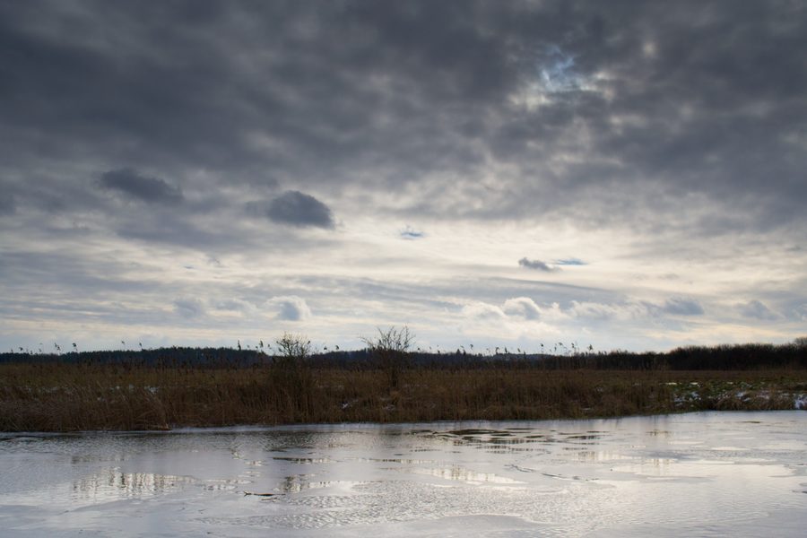 Paysage dans la commune de Nakło nad Notecią en Pologne