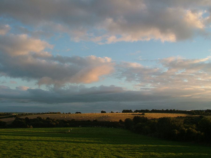 Paysage dans le comté de Cork près de Ballinhassig