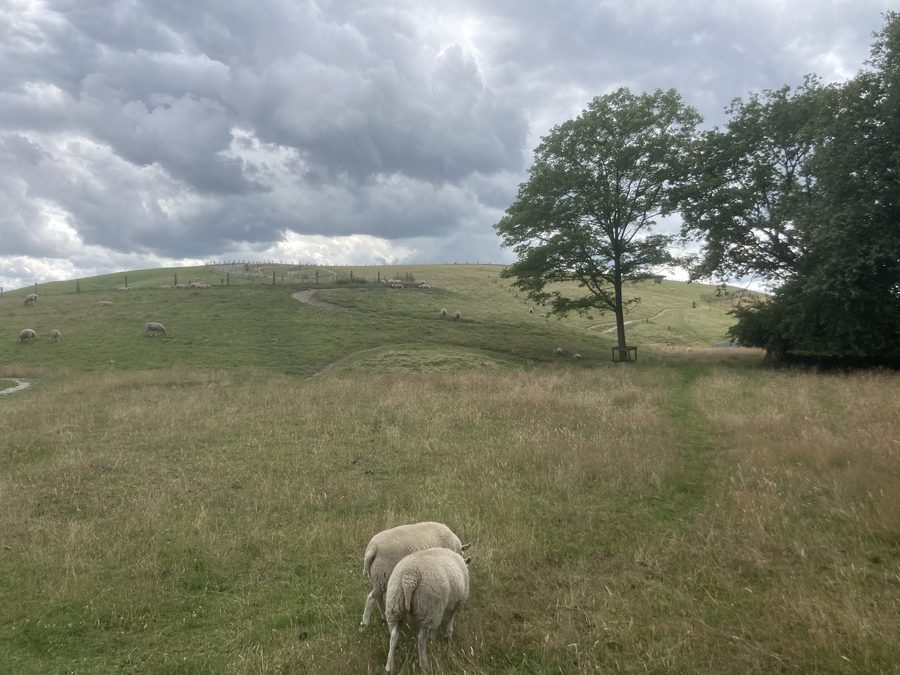 Paysage au VAMberg avec le Oude Diepje près de Drijber en Drenthe