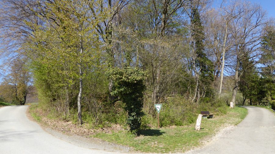 Vergers de prairie près du bosquet de protection des oiseaux Benedikten à Dettingen an der Erms