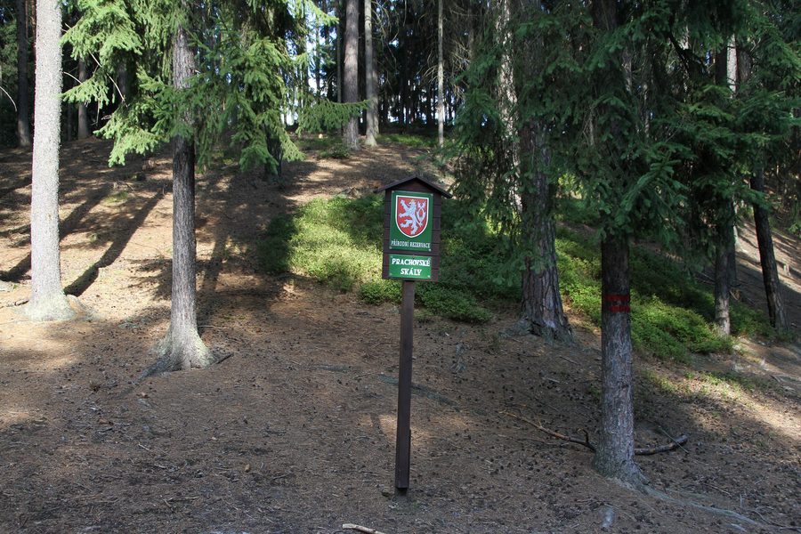 Formations de grès dans la réserve naturelle de Prachovské skály en Tchéquie