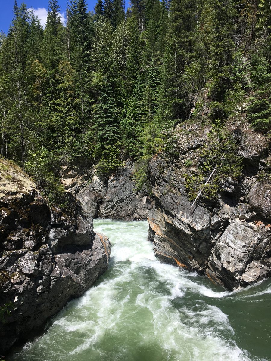 Rapides de la rivière North Thompson au nord d’Avola en Colombie-Britannique