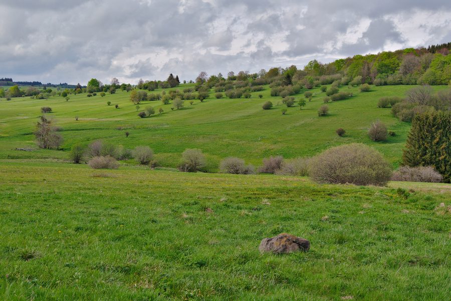 Paysage de prairies dans la réserve naturelle de la Lange Rhön