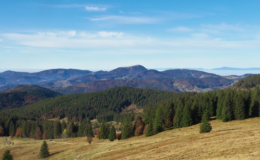 Blick vom Herzogenhorn zum Belchen im Südschwarzwald