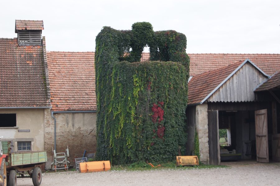 Cour agricole historique du château d’Oberstockstall à Kirchberg am Wagram