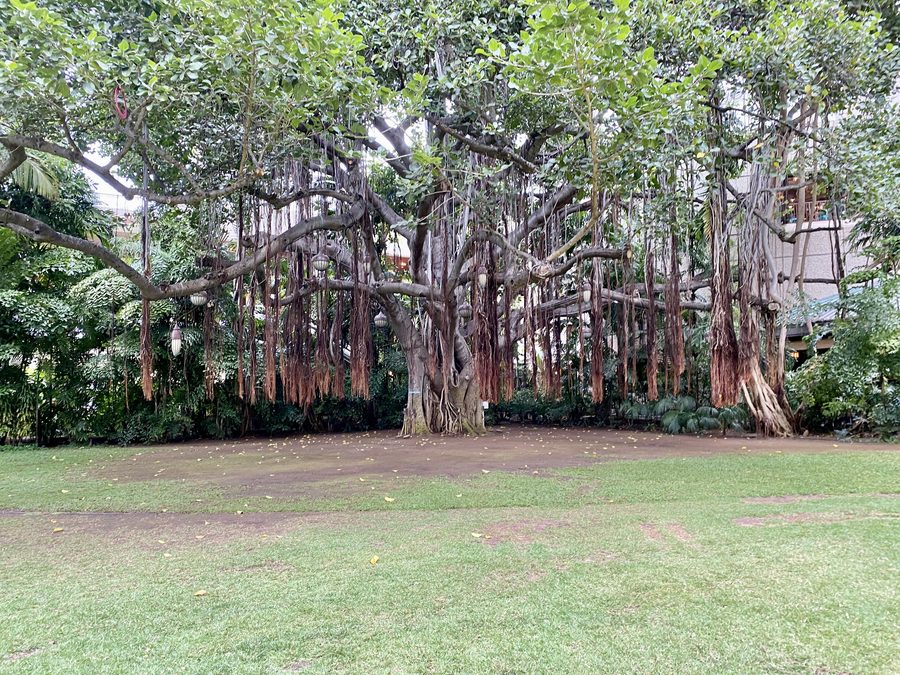 L’avenue Kalākaua à Waikīkī avec le Royal Hawaiian Hotel et un banian.