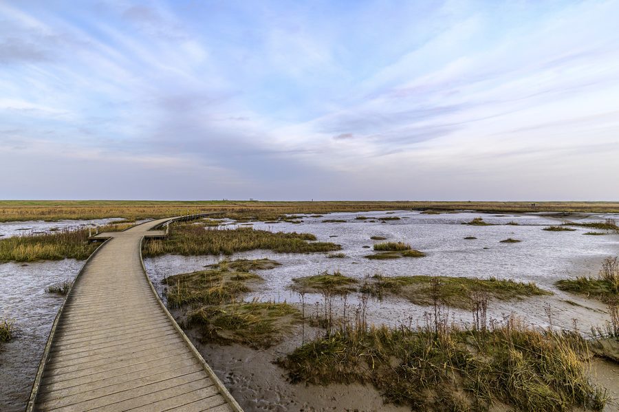 Chemin de planches dans le Langwarder Groden