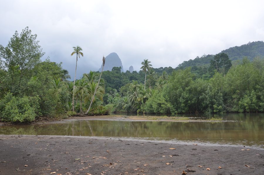 Paysage de mangroves dans la réserve de biosphère de Príncipe