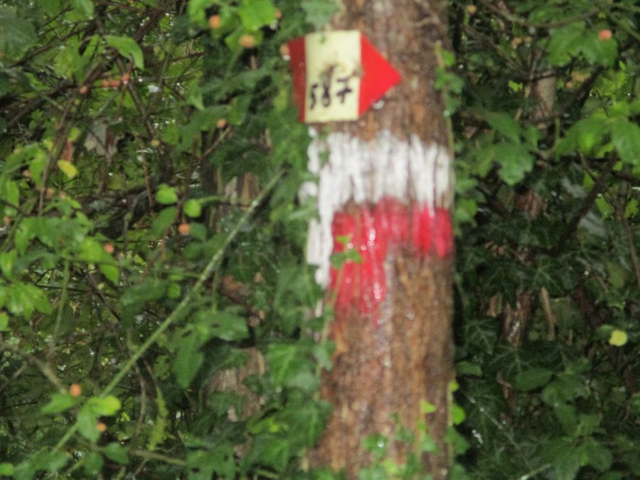 Panneau indicateur du sentier de randonnée CAI près de Lutirano en Toscane
