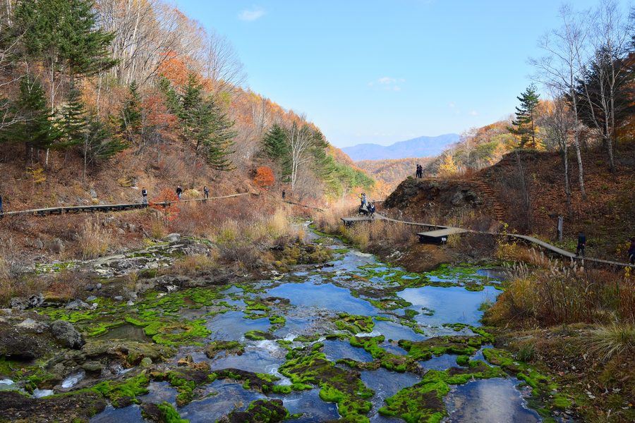 Paysage printanier moussu au parc Chatsubomigoke, près de Kusatsu Onsen.