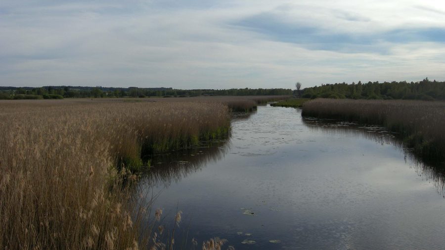 Canal dans la réserve naturelle du Federsee près de Bad Buchau