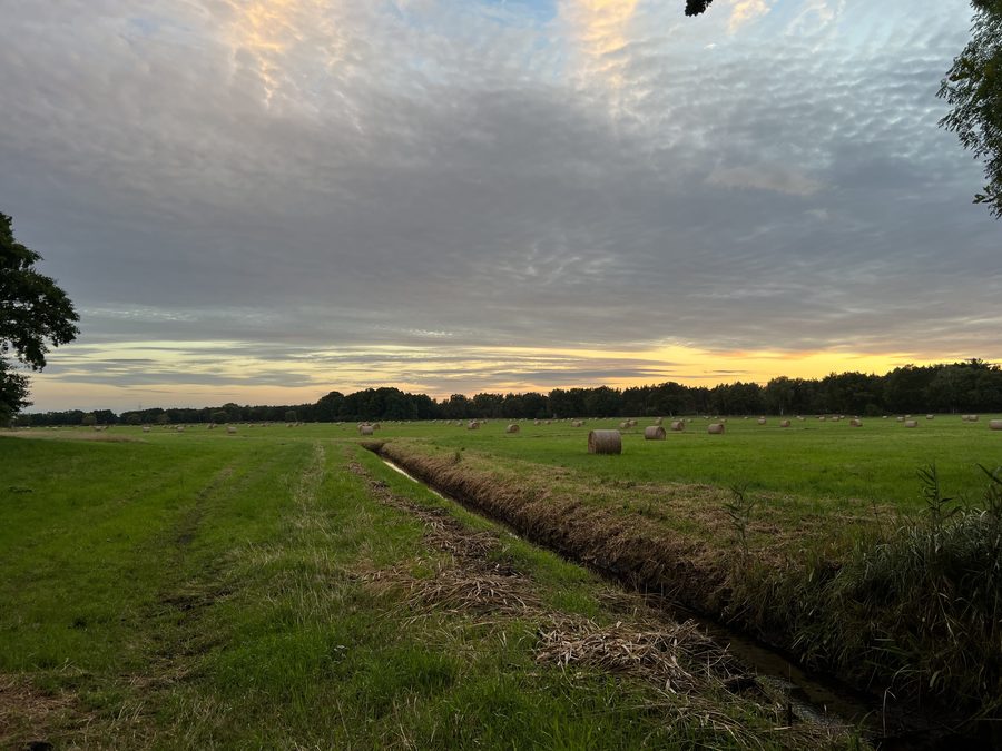 Ciel du soir au-dessus d’un champ dans le Löwenberger Land, près de la réserve naturelle de Liebenberger Bruch